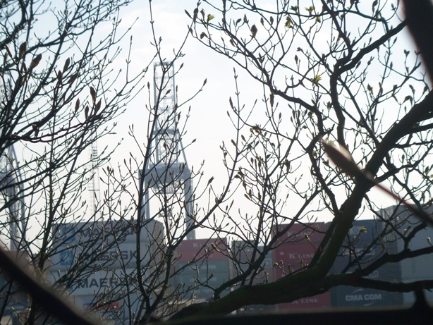 100_0975.jpg