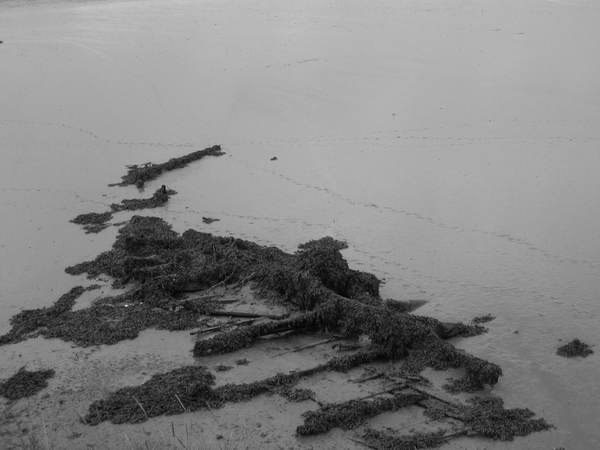 115_1507.JPG