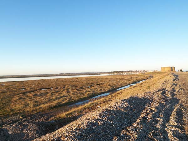 aldeburghfield.jpg