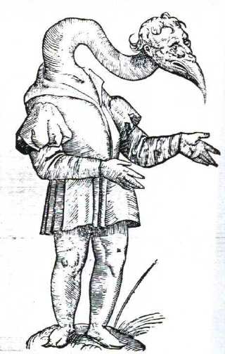 goose.jpg
