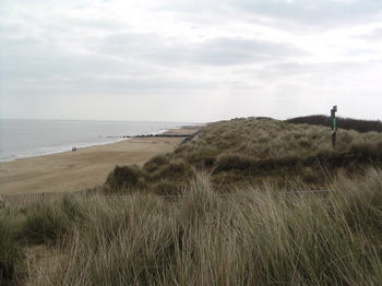 waxham2.jpg