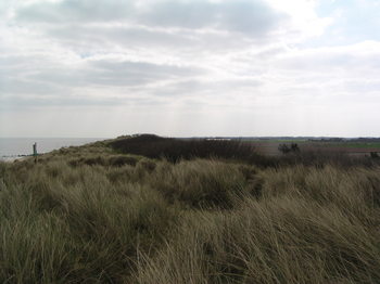 waxhamview2.JPG