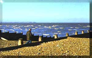whitstable.jpg