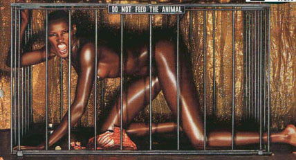 wildlife.jpg
