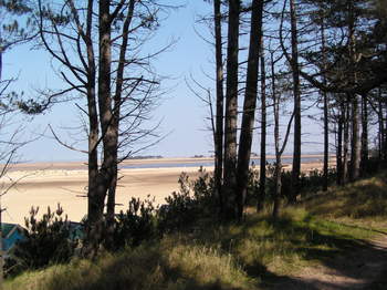 woodbeachview2.JPG